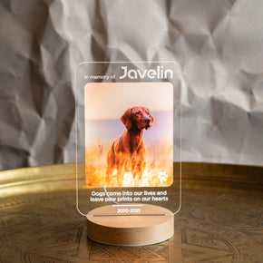 Custom Memorial Dog Passing Gift | Pet Remembrance Portrait | When Tomorrow Starts Without Me | Dog Memorial Night Light |